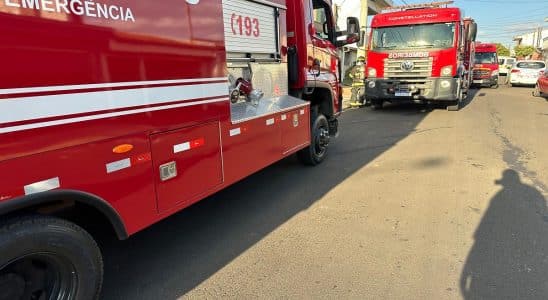 Bombeiros debela incêndio e salva gato no Jardim Hikare