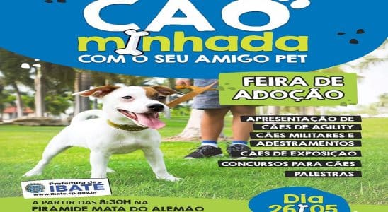 Prefeitura de Ibaté promove “Primeira Cãominhada” na Pirâmide da Mata do Alemão