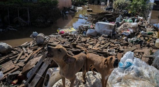 Idoso é a primeira vítima de leptospirose nas enchentes do RS