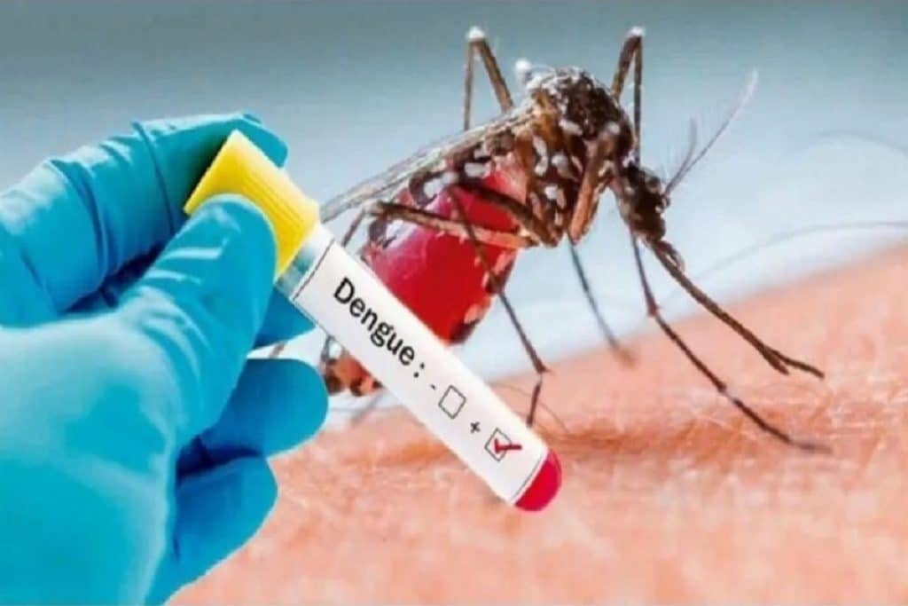 dengue 1