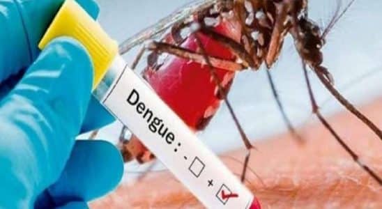 DENGUE 4