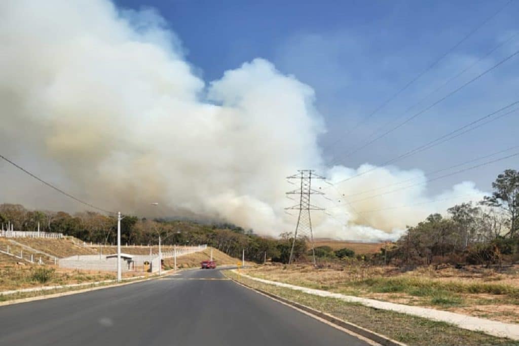 IBATE SAO CARLOS AGO24