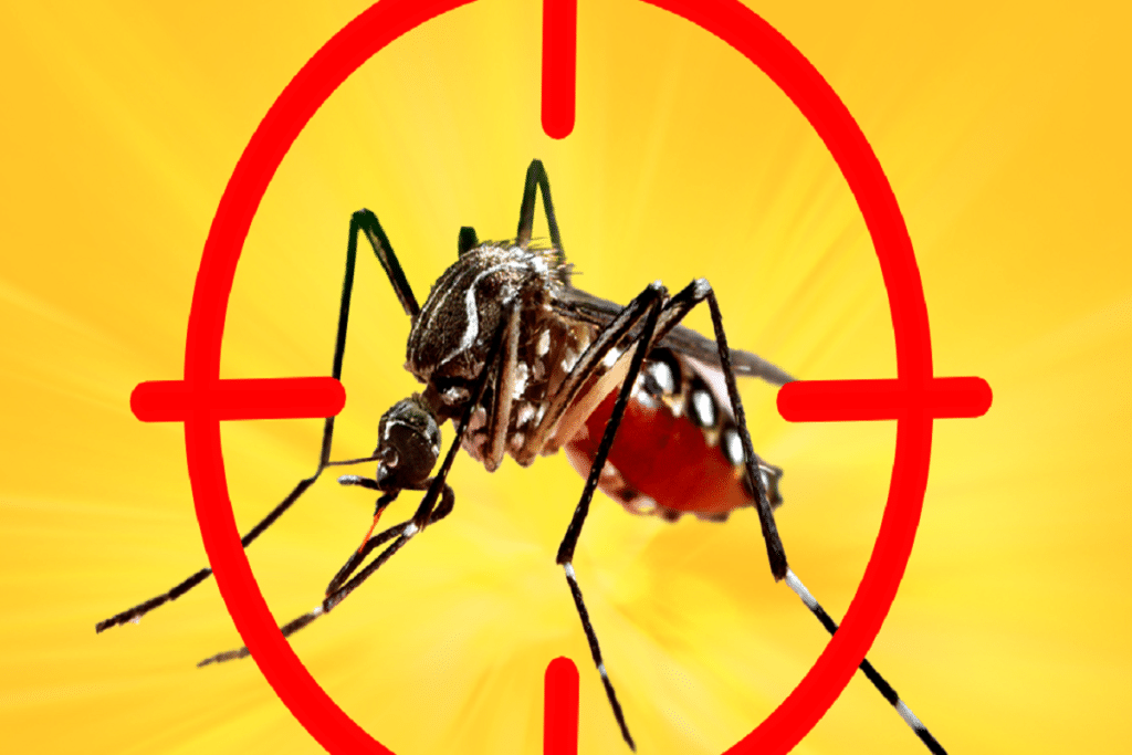 dengue