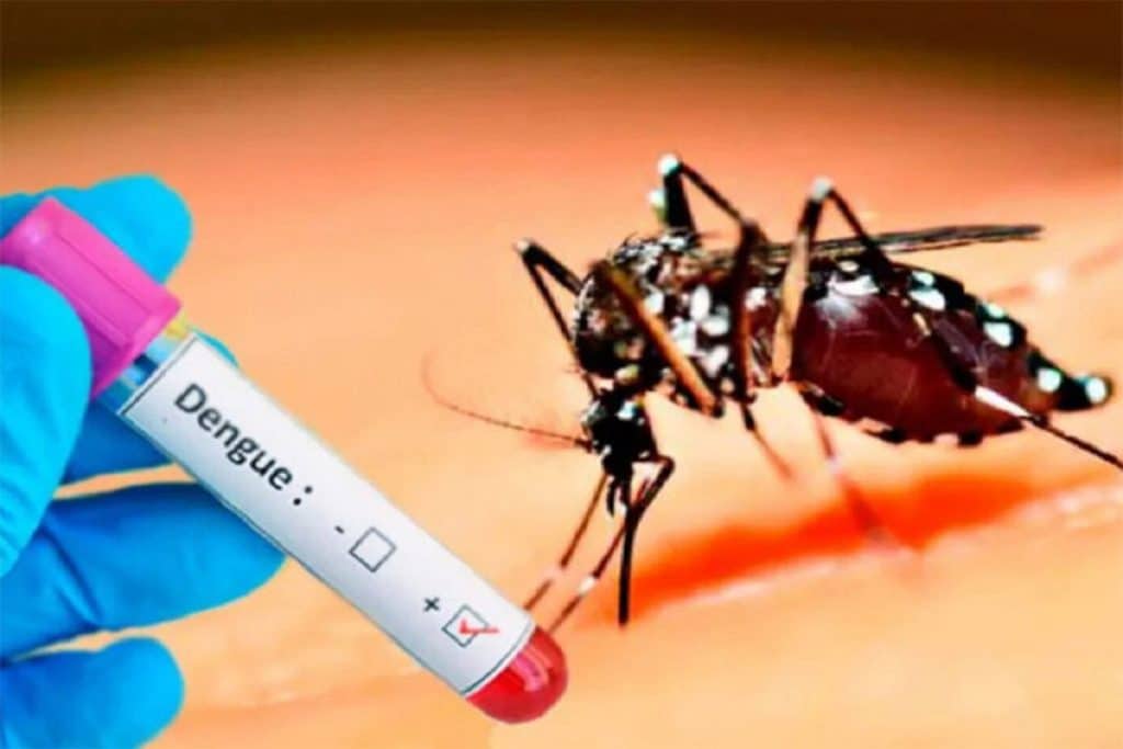 dengue