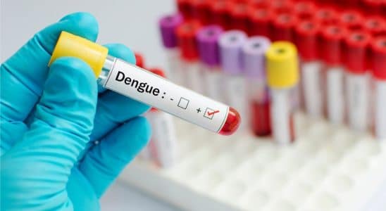 Dengue