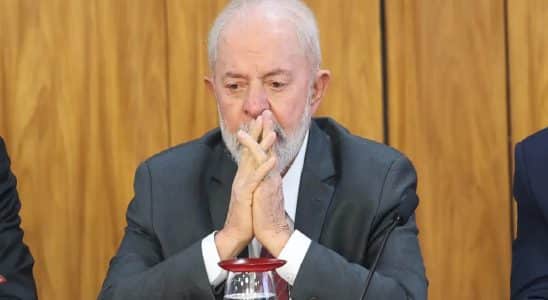 LULA 3
