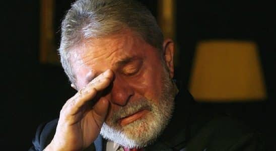 LULA 7