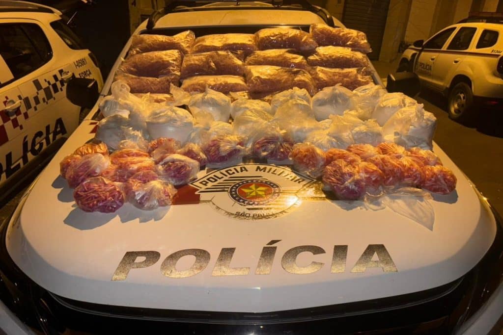 POLICIA 2
