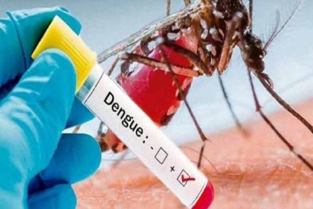 dengue