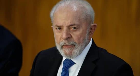 lula 6