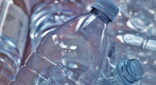 PLASTICO