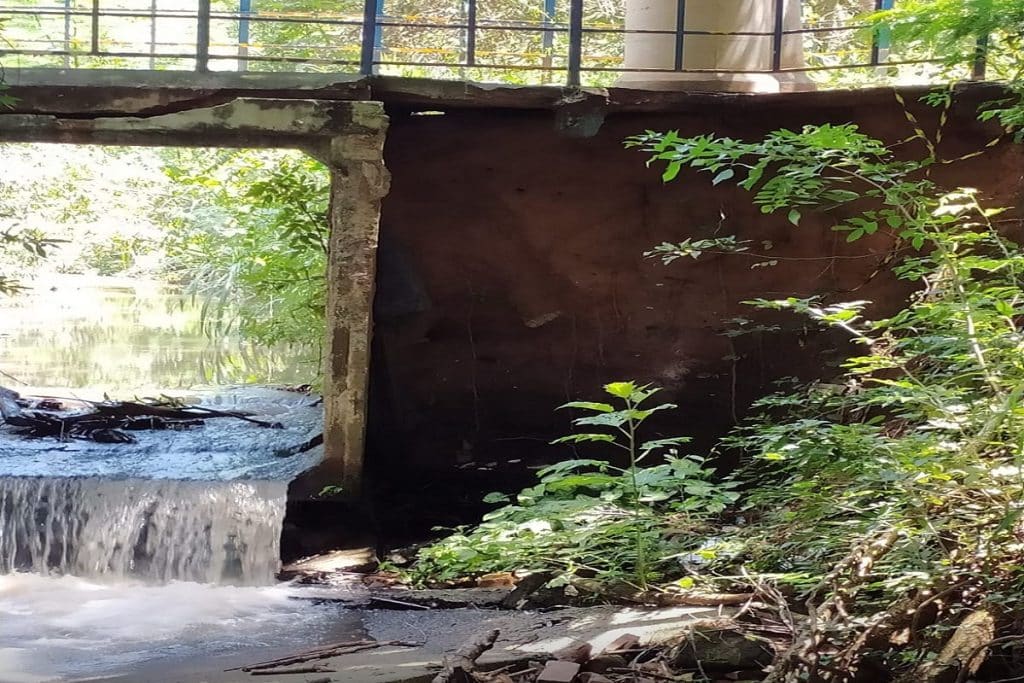 PONTE