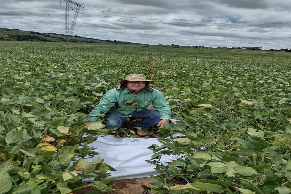 Paulo Roberto Leite executando a batida de pano da soja