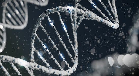 dna
