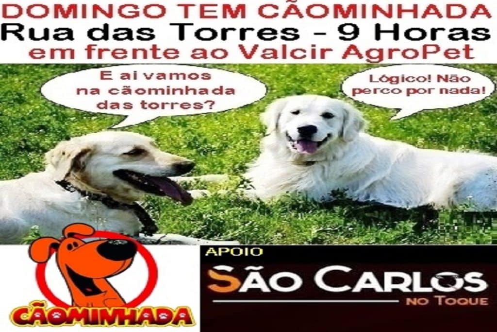 b7988364 5271 4164 aed2 8653508a200b