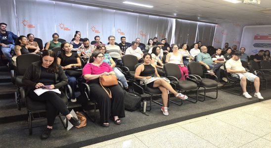 professores 1100