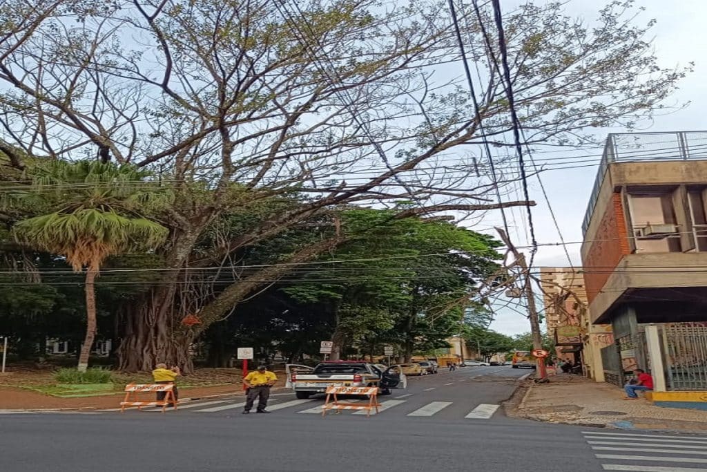 rua 2