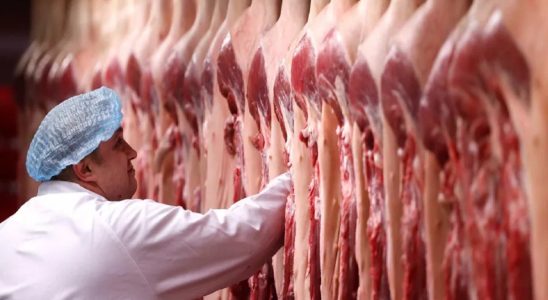 carne