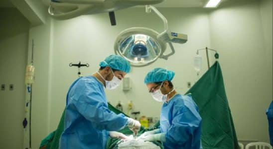 cirurgia 1024x683 1