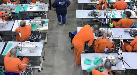 Presos pagam estadia: Trabalho de detentos gera milhões em Santa Catarina 6 presos