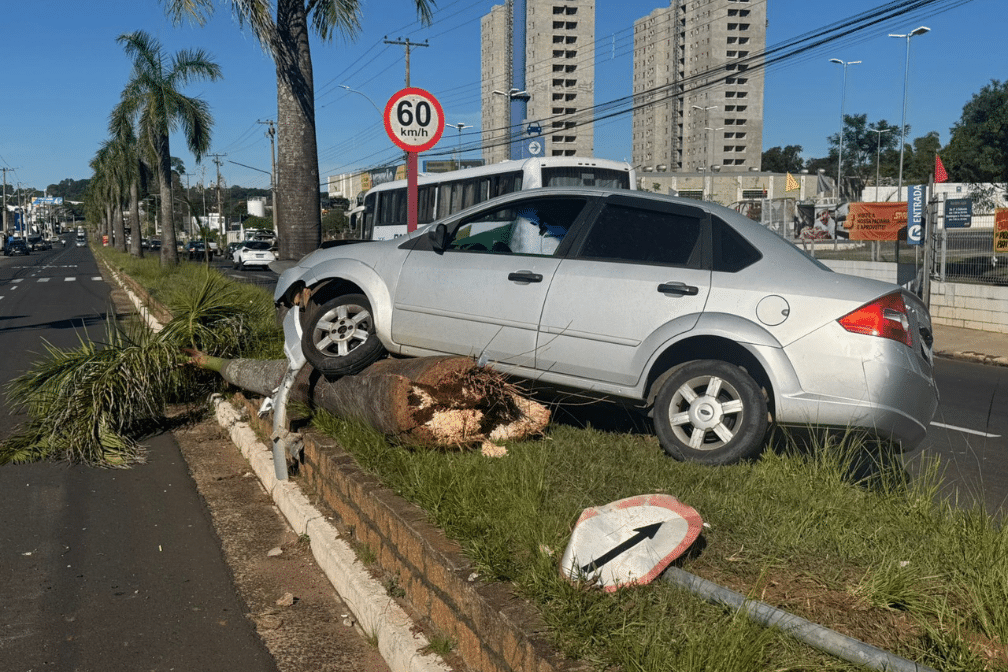 acidente palmeiras