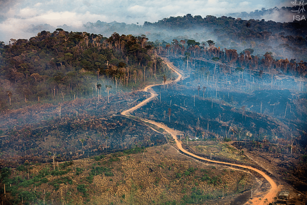 desmatamento amazonia