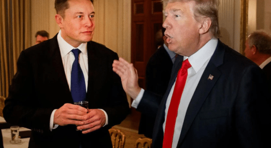 elon musk trump