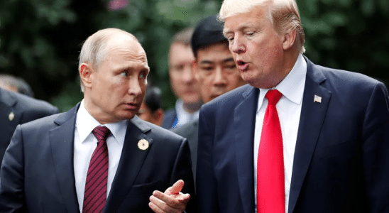 trump putin