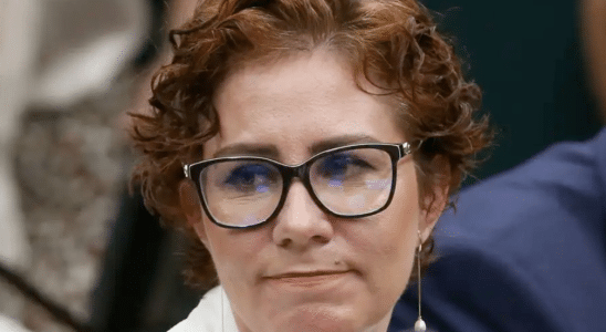 carla zambelli advogado