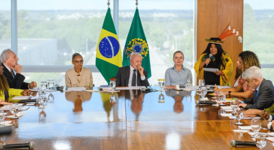 lula