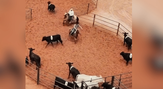 top ranch