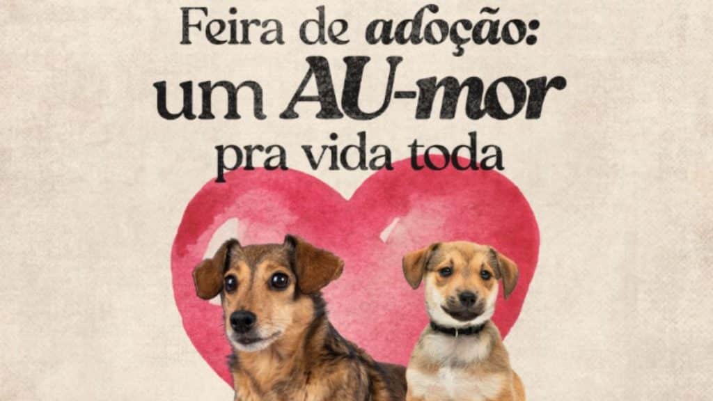 viver 19 2