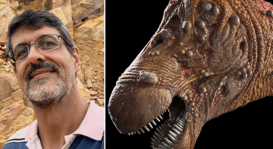 dino
