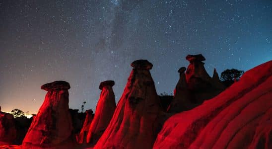 175883110068d5a1fc3fcc2 1758831100 3x2 rt