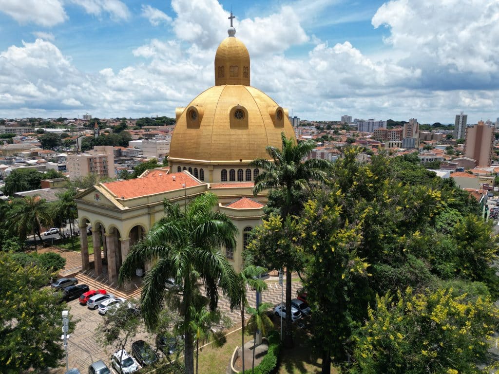 33b49e51 a54e 436b b0cd f434183f0e31 1