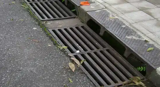 Absurdo: Grades e grelhas de bueiro são alvo de furtos em São Carlos 6 capa boca de lobo