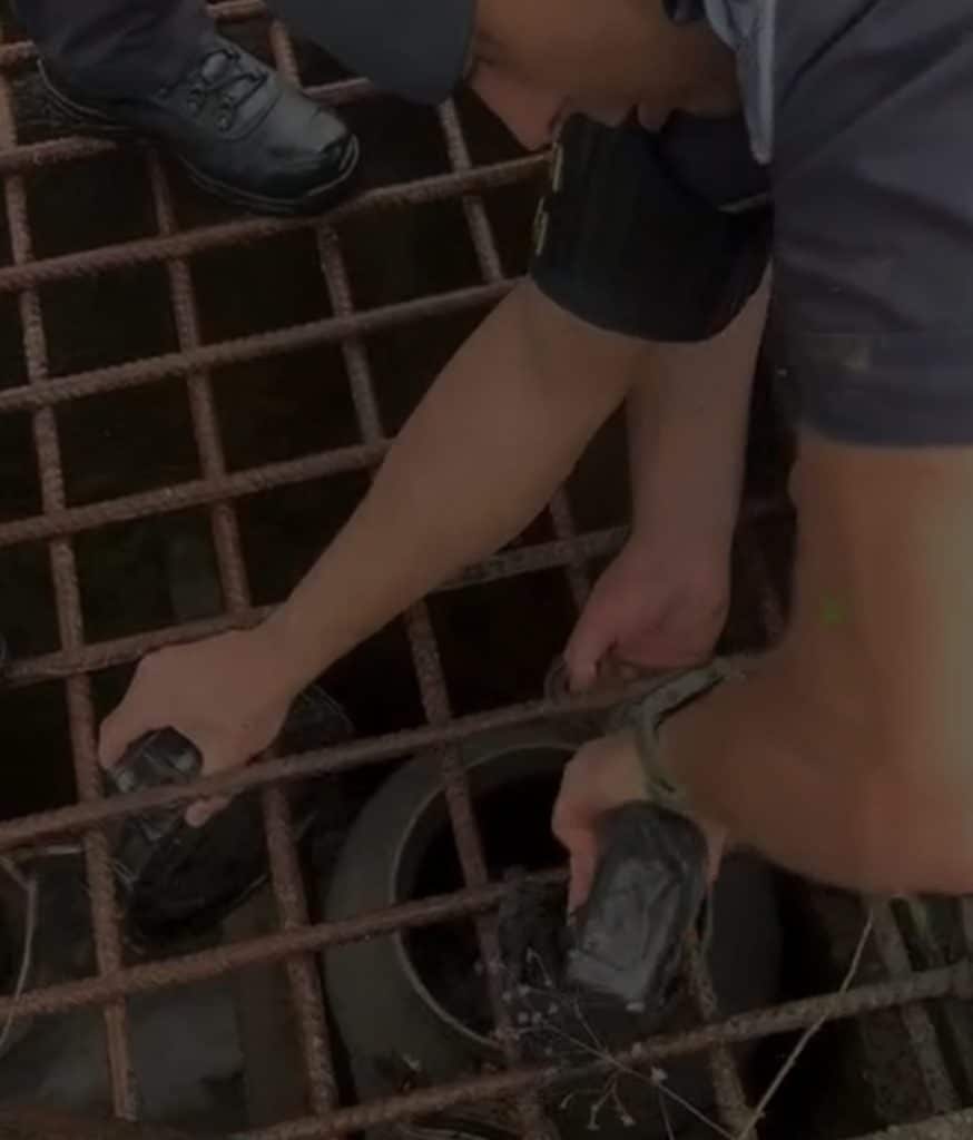 Screenshot 20251101 084925 WhatsApp 1