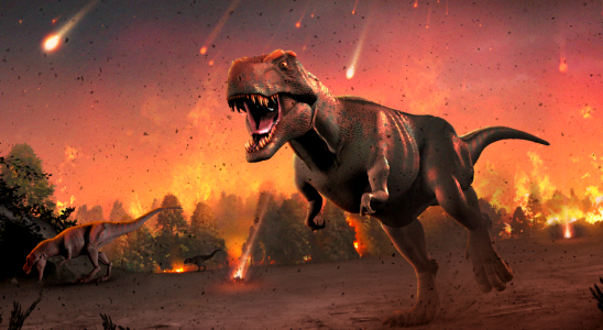 Novo estudo aponta que dinossauros morreram queimados após impacto de asteroide 2 image 25