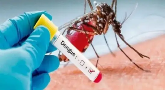 São Carlos ultrapassa 3 mil casos positivos de dengue