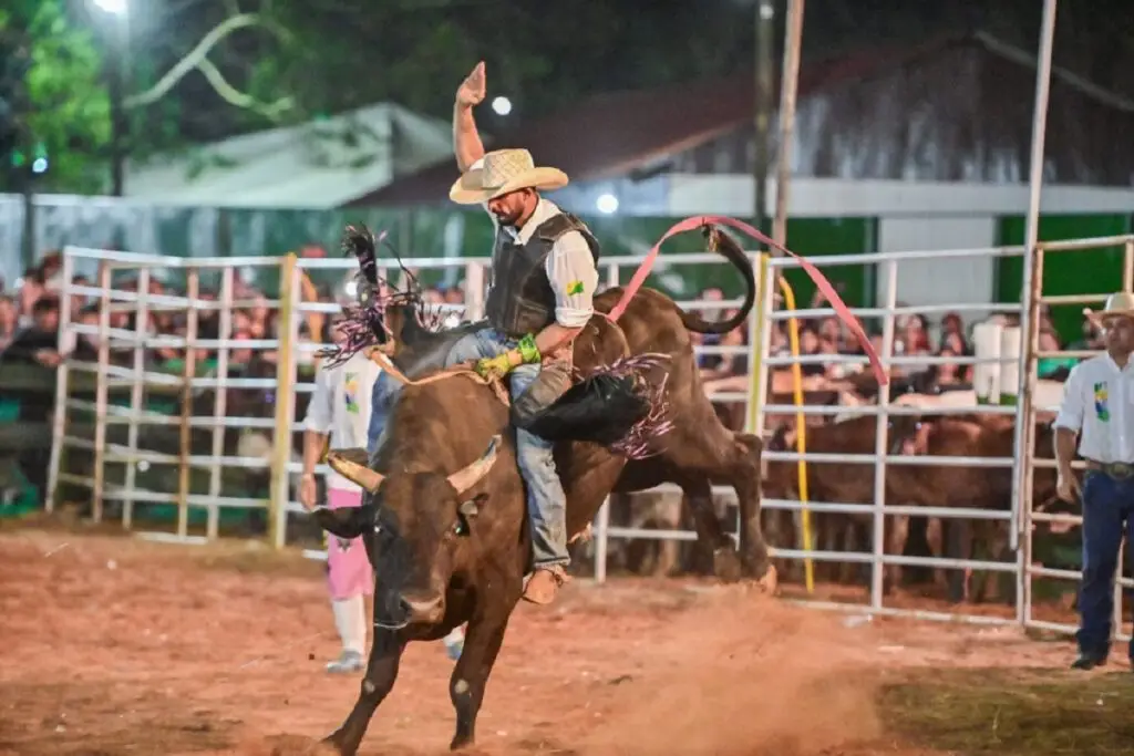 Expo Rodeio de Ibaté confirma 34ª edição e promete agitar a região em outubro de 2026 4 rodeio