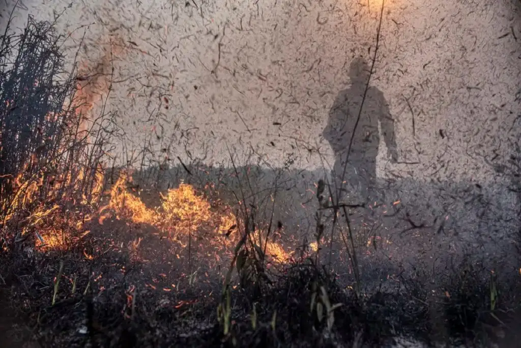 Focos de incêndios no Brasil já são 76% maiores que em 2023 4 FOGO 1