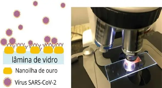 PEDRO FIG1100