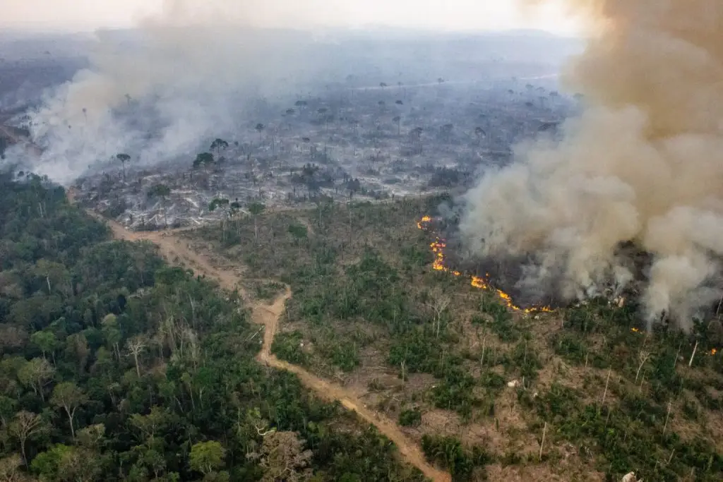 degradacao florestal na amazonia cresce 500 em 2025