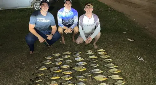 trio pesca 48 piranhas no broa