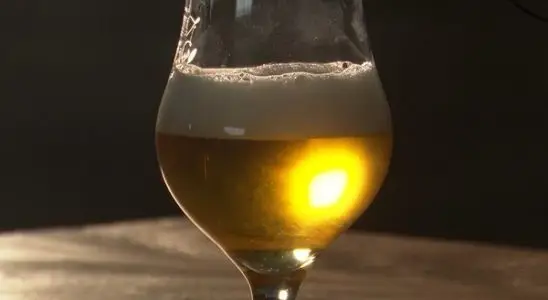 Consumo de álcool no Brasil: maioria dos consumidores afirma ter reduzido ingestão no último ano 10 captura de tela 2024 11 27 134815