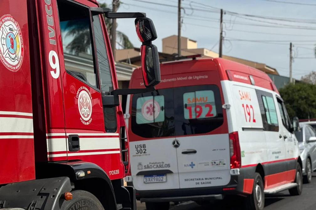 Idoso e três cães são resgatados em situação de abandono em São Carlos 4 idoso e cao resgatados