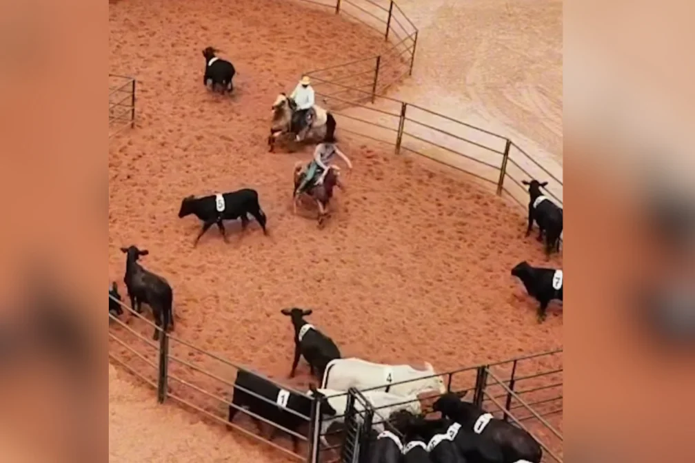 Top Rancher Top Ranch 2025 promete movimentar São Carlos com três dias de provas ...