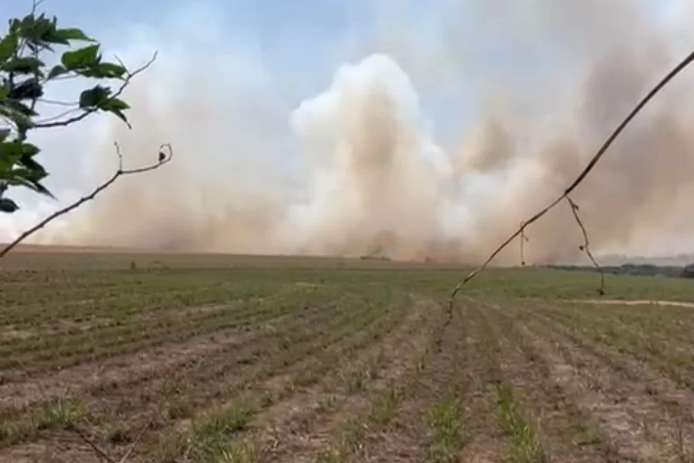 Incêndio em Água Vermelha assusta moradores e expõe riscos da seca 4 incendio 1
