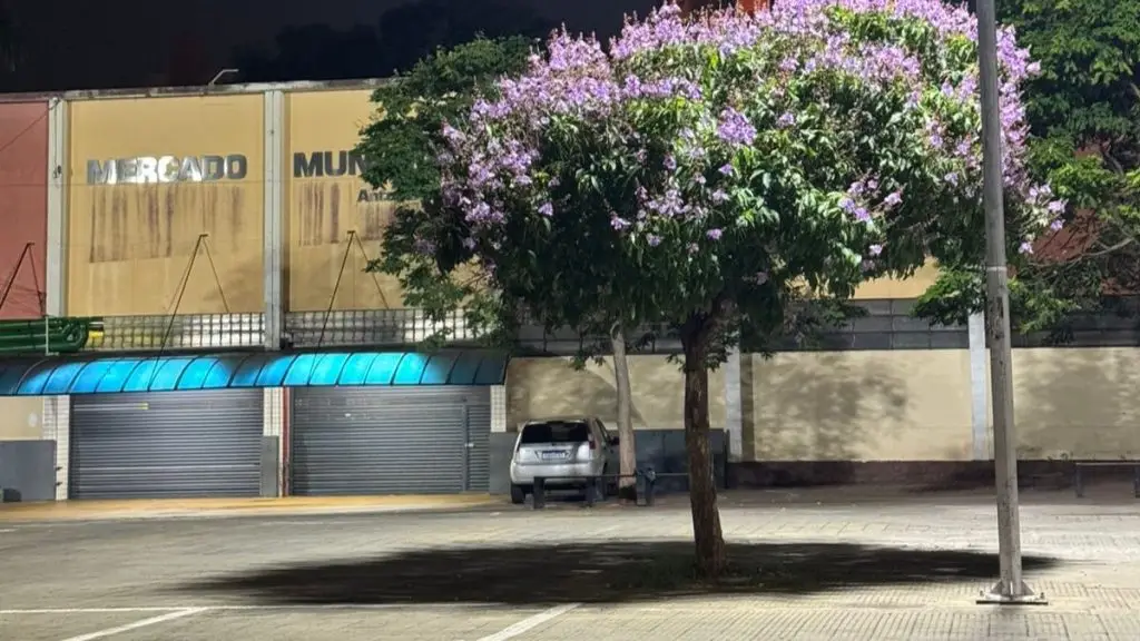 Apostador de São Carlos chega perto de prêmio milionário na Quina 4 viver 20 6