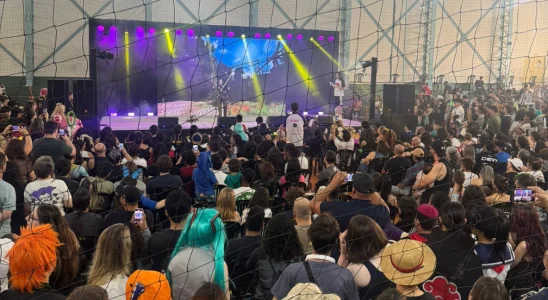 2º Geek Sanca Fest agita fãs da cultura pop neste domingo em São Carlos 6 geek